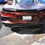 DSC_0238_1598 (October 04, 2025)