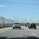 DSC_0244_1604 (October 04, 2025)