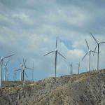 DSC_0247_1607 (October 04, 2025)