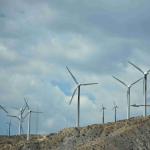 DSC_0248_1608 (October 04, 2025)