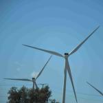 DSC_0249_1609 (October 04, 2025)