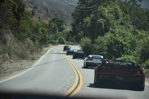 DSC_0020_919