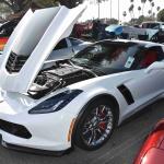 DSC_0004_1923 (November 12, 2025)