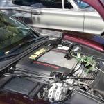 DSC_0007_1926 (November 12, 2025)