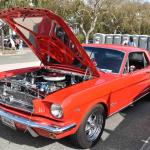 DSC_0015_1934 (November 12, 2025)