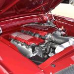 DSC_0057_1976 (November 12, 2025)