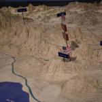 DSC_0019_2333 (February 17, 2026)