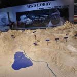 DSC_0020_2334 (February 17, 2026)